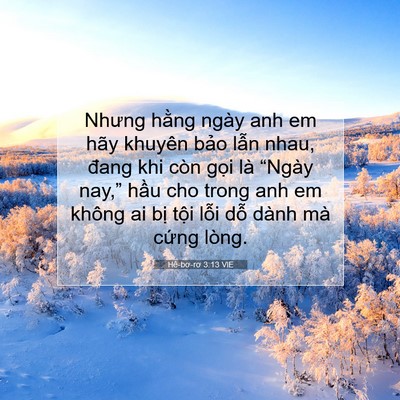 Picture 07 - Hê-bơ-rơ 3:13 VIE - Nhưng hằng ngày anh em hãy khuyên bảo - Bible Verse Picture