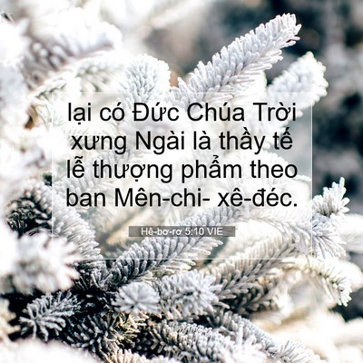 Picture 07 - Hê-bơ-rơ 5:10 VIE - lại có Đức Chúa Trời xưng Ngài là - Bible Verse Picture