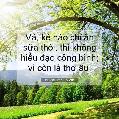 Picture 07 - Hê-bơ-rơ 5:13 VIE - Vả, kẻ nào chỉ ăn sữa thôi, thì - Bible Verse Picture