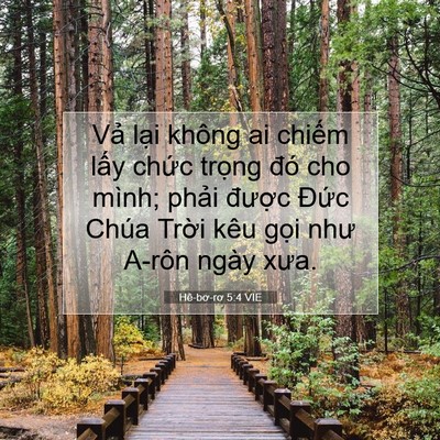 Picture 07 - Hê-bơ-rơ 5:4 VIE - Vả lại không ai chiếm lấy chức trọng - Bible Verse Picture