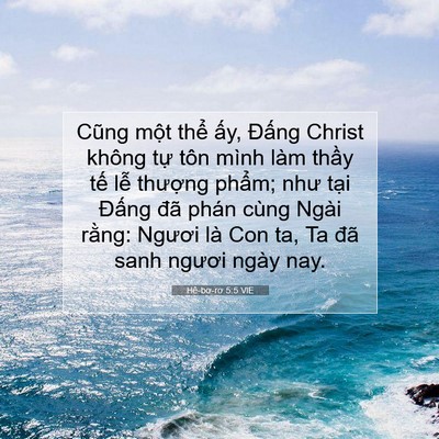 Picture 07 - Hê-bơ-rơ 5:5 VIE - Cũng một thể ấy, Đấng Christ không - Bible Verse Picture