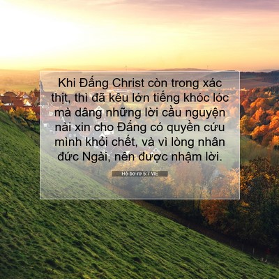 Picture 07 - Hê-bơ-rơ 5:7 VIE - Khi Đấng Christ còn trong xác thịt, thì - Bible Verse Picture