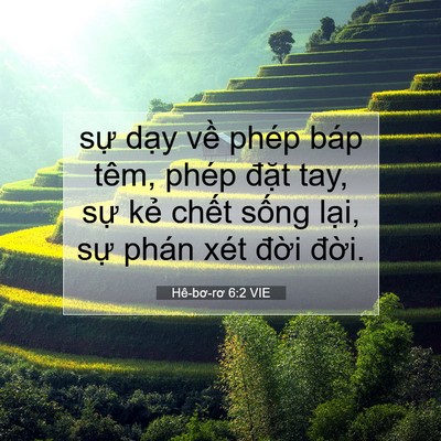 Picture 07 - Hê-bơ-rơ 6:2 VIE - sự dạy về phép báp têm, phép đặt - Bible Verse Picture