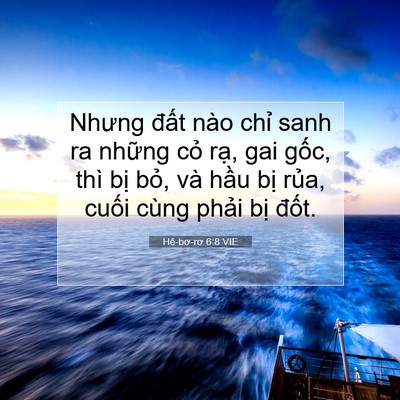 Picture 07 - Hê-bơ-rơ 6:8 VIE - Nhưng đất nào chỉ sanh ra những cỏ - Bible Verse Picture
