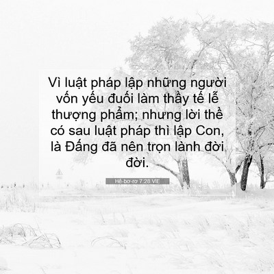Picture 07 - Hê-bơ-rơ 7:28 VIE - Vì luật pháp lập những người vốn - Bible Verse Picture