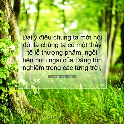 Picture 07 - Hê-bơ-rơ 8:1 VIE - Đại ý điều chúng ta mới nói đó, là - Bible Verse Picture