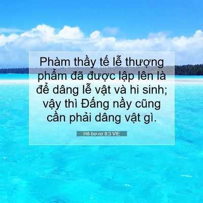 Picture 07 - Hê-bơ-rơ 8:3 VIE - Phàm thầy tế lễ thượng phẩm đã - Bible Verse Picture