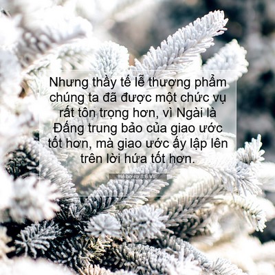 Picture 07 - Hê-bơ-rơ 8:6 VIE - Nhưng thầy tế lễ thượng phẩm chúng - Bible Verse Picture