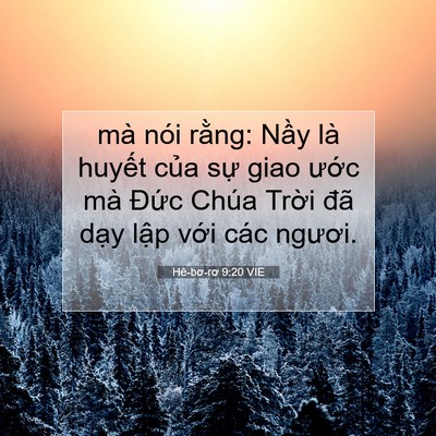 Picture 07 - Hê-bơ-rơ 9:20 VIE - mà nói rằng: Nầy là huyết của sự - Bible Verse Picture