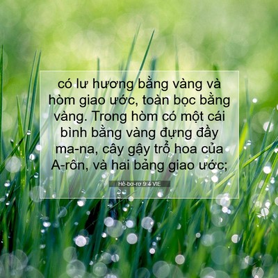 Picture 07 - Hê-bơ-rơ 9:4 VIE - có lư hương bằng vàng và hòm giao - Bible Verse Picture