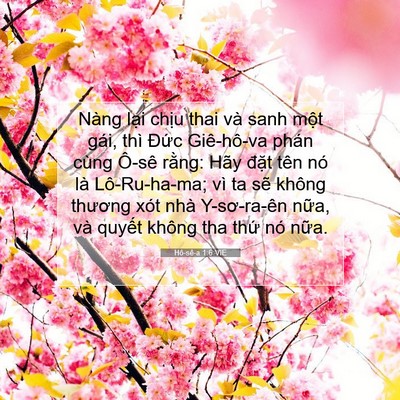 Picture 07 - Hô-sê-a 1:6 VIE - Nàng lại chịu thai và sanh một gái, thì - Bible Verse Picture