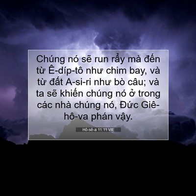 Picture 07 - Hô-sê-a 11:11 VIE - Chúng nó sẽ run rẩy mà đến từ - Bible Verse Picture