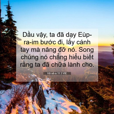 Picture 07 - Hô-sê-a 11:3 VIE - Dầu vậy, ta đã dạy Eùp-ra-im bước - Bible Verse Picture