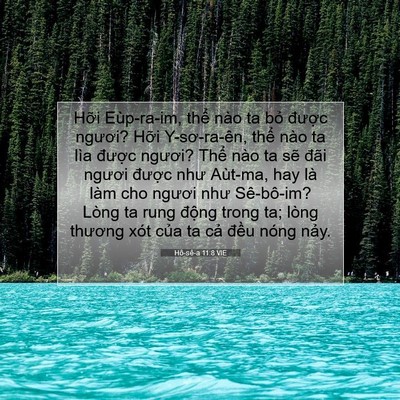Picture 07 - Hô-sê-a 11:8 VIE - Hỡi Eùp-ra-im, thể nào ta bỏ được - Bible Verse Picture