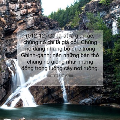 Picture 07 - Hô-sê-a 12:11 VIE - (012-12) Ga-la-át là gian ác, chúng nó chỉ - Bible Verse Picture
