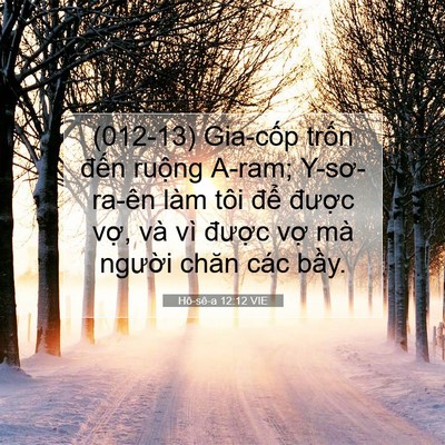 Picture 07 - Hô-sê-a 12:12 VIE - (012-13) Gia-cốp trốn đến ruộng A-ram; - Bible Verse Picture