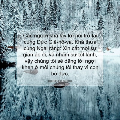 Picture 07 - Hô-sê-a 14:2 VIE - Các ngươi khá lấy lời nói trở lại - Bible Verse Picture