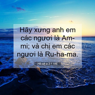 Picture 07 - Hô-sê-a 2:1 VIE - Hãy xưng anh em các ngươi là Am-mi; và - Bible Verse Picture