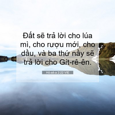 Picture 07 - Hô-sê-a 2:22 VIE - Đất sẽ trả lời cho lúa mì, cho rượu - Bible Verse Picture