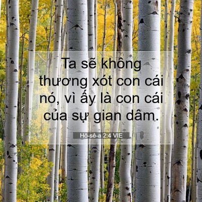 Picture 07 - Hô-sê-a 2:4 VIE - Ta sẽ không thương xót con cái nó, vì - Bible Verse Picture