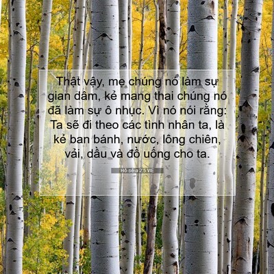 Picture 07 - Hô-sê-a 2:5 VIE - Thật vậy, mẹ chúng nó làm sự gian - Bible Verse Picture