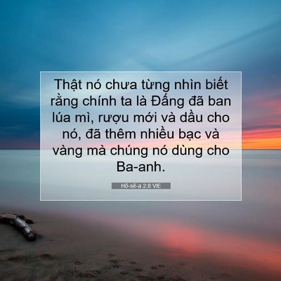 Picture 07 - Hô-sê-a 2:8 VIE - Thật nó chưa từng nhìn biết rằng - Bible Verse Picture