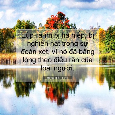 Picture 07 - Hô-sê-a 5:11 VIE - Eùp-ra-im bị hà hiếp, bị nghiền nát - Bible Verse Picture
