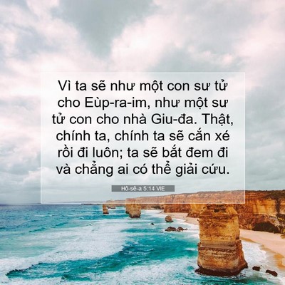 Picture 07 - Hô-sê-a 5:14 VIE - Vì ta sẽ như một con sư tử cho - Bible Verse Picture