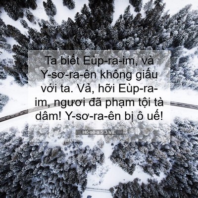 Picture 07 - Hô-sê-a 5:3 VIE - Ta biết Eùp-ra-im, và Y-sơ-ra-ên không - Bible Verse Picture