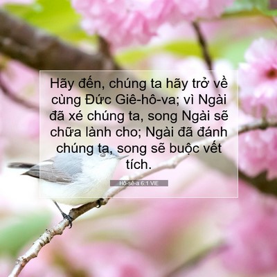 Picture 07 - Hô-sê-a 6:1 VIE - Hãy đến, chúng ta hãy trở về cùng - Bible Verse Picture