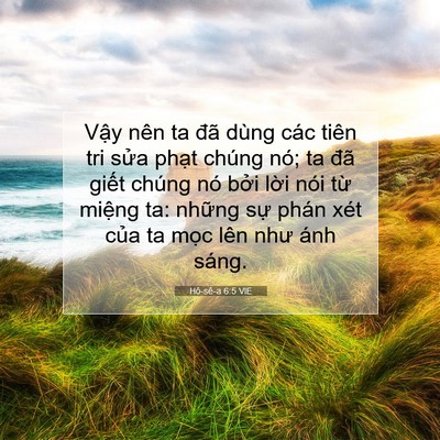 Picture 07 - Hô-sê-a 6:5 VIE - Vậy nên ta đã dùng các tiên tri sửa - Bible Verse Picture