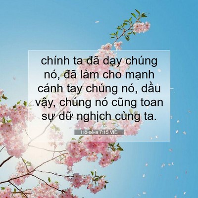 Picture 07 - Hô-sê-a 7:15 VIE - chính ta đã dạy chúng nó, đã làm cho - Bible Verse Picture