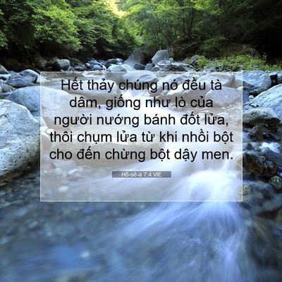 Picture 07 - Hô-sê-a 7:4 VIE - Hết thảy chúng nó đều tà dâm, giống - Bible Verse Picture