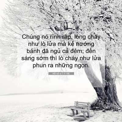 Picture 07 - Hô-sê-a 7:6 VIE - Chúng nó rình rập, lòng cháy như lò - Bible Verse Picture