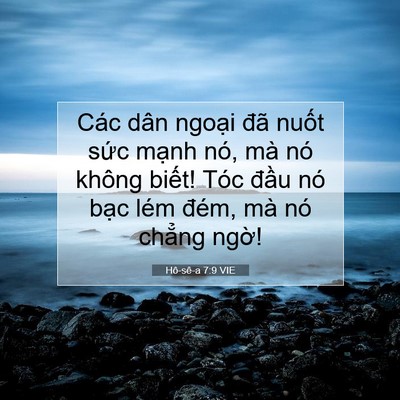 Picture 07 - Hô-sê-a 7:9 VIE - Các dân ngoại đã nuốt sức mạnh nó, - Bible Verse Picture