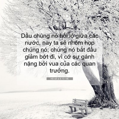 Picture 07 - Hô-sê-a 8:10 VIE - Dầu chúng nó hối lộ giữa các nước, - Bible Verse Picture