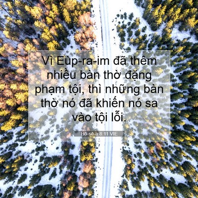 Picture 07 - Hô-sê-a 8:11 VIE - Vì Eùp-ra-im đã thêm nhiều bàn thờ - Bible Verse Picture