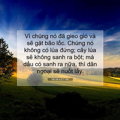 Picture 07 - Hô-sê-a 8:7 VIE - Vì chúng nó đã gieo gió và sẽ gặt bão - Bible Verse Picture