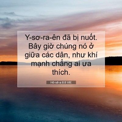 Picture 07 - Hô-sê-a 8:8 VIE - Y-sơ-ra-ên đã bị nuốt. Bây giờ chúng - Bible Verse Picture