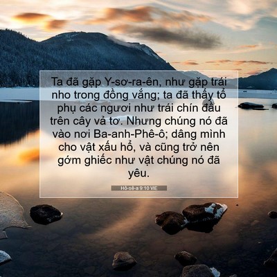 Picture 07 - Hô-sê-a 9:10 VIE - Ta đã gặp Y-sơ-ra-ên, như gặp trái nho - Bible Verse Picture