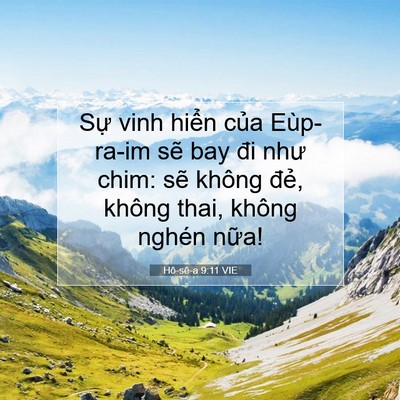 Picture 07 - Hô-sê-a 9:11 VIE - Sự vinh hiển của Eùp-ra-im sẽ bay đi - Bible Verse Picture