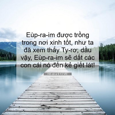 Picture 07 - Hô-sê-a 9:13 VIE - Eùp-ra-im được trồng trong nơi xinh - Bible Verse Picture