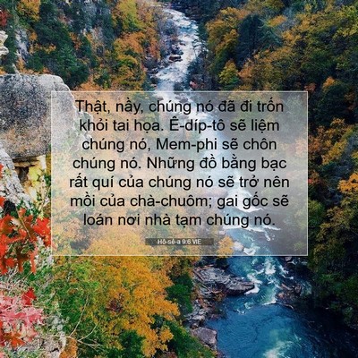 Picture 07 - Hô-sê-a 9:6 VIE - Thật, nầy, chúng nó đã đi trốn khỏi - Bible Verse Picture