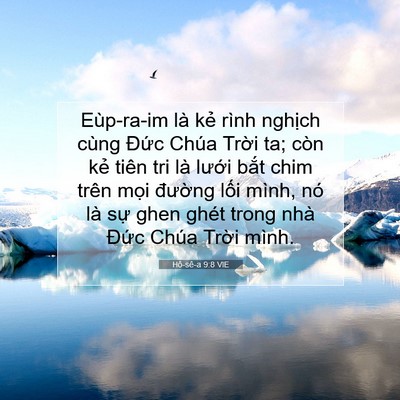 Picture 07 - Hô-sê-a 9:8 VIE - Eùp-ra-im là kẻ rình nghịch cùng Đức - Bible Verse Picture