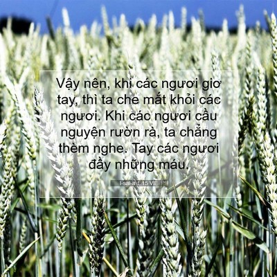 Picture 07 - I-sai-a 1:15 VIE - Vậy nên, khi các ngươi giơ tay, thì ta - Bible Verse Picture