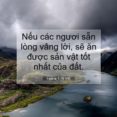 Picture 07 - I-sai-a 1:19 VIE - Nếu các ngươi sẵn lòng vâng lời, sẽ - Bible Verse Picture