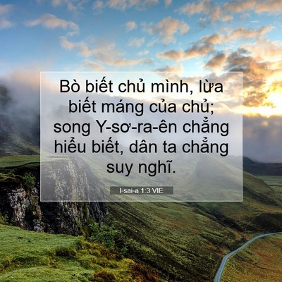 Picture 07 - I-sai-a 1:3 VIE - Bò biết chủ mình, lừa biết máng của - Bible Verse Picture