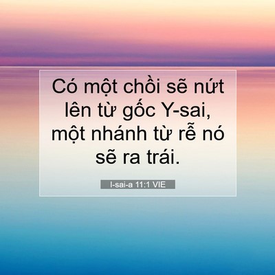 Picture 07 - I-sai-a 11:1 VIE - Có một chồi sẽ nứt lên từ gốc - Bible Verse Picture