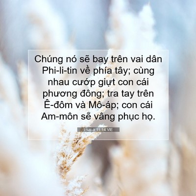 Picture 07 - I-sai-a 11:14 VIE - Chúng nó sẽ bay trên vai dân Phi-li-tin - Bible Verse Picture