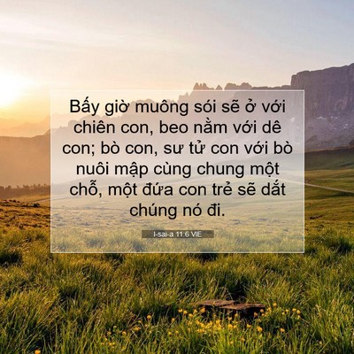 Picture 07 - I-sai-a 11:6 VIE - Bấy giờ muông sói sẽ ở với chiên - Bible Verse Picture